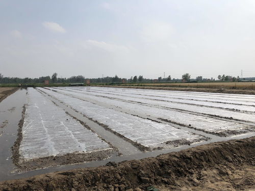 筑巢引鳳賦能 三鄉(xiāng)工程 打造鄉(xiāng)村振興 強(qiáng)磁場(chǎng)